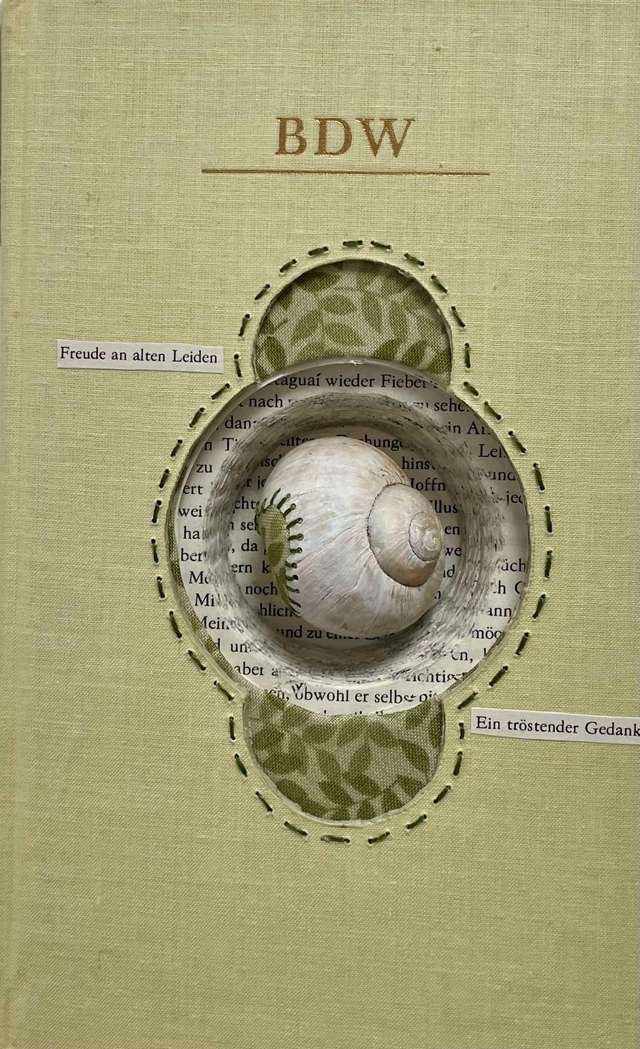 Grünes Buch mit eingearbeiteter Schnecke